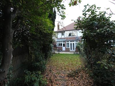 Picture 16